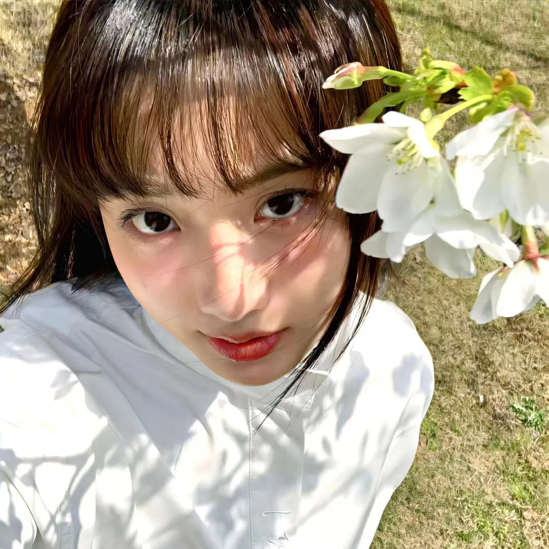 最美一枝花