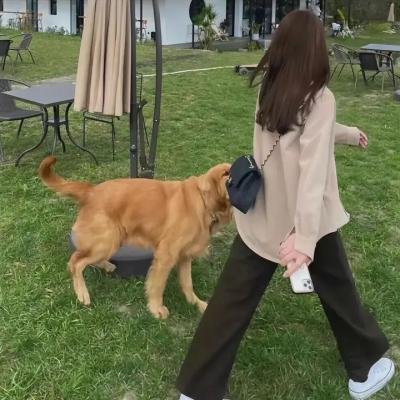 一屋之主